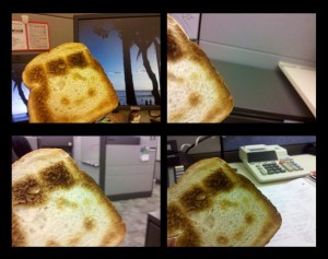 Toast striking poses at my workspace. 