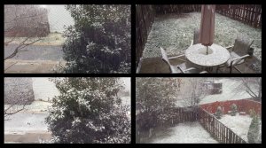 10am ET, 26 Nov 2014 Thanksgiving Eve Snow