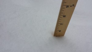 5" of Snow - not bad!