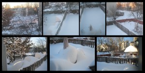 7am US EST - Backyard - Sun, 24 Jan 2016