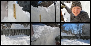 10am US EST -  Back Yard Shoveling - Sunday, 24 Jan 2016